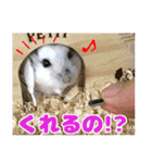 Ham ω Mediaのスタンプです -PART 1-（個別スタンプ：2）
