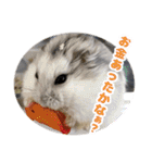 Ham ω Mediaのスタンプです -PART 1-（個別スタンプ：3）