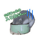 Ham ω Mediaのスタンプです -PART 1-（個別スタンプ：6）