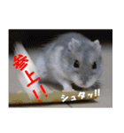 Ham ω Mediaのスタンプです -PART 1-（個別スタンプ：7）