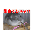 Ham ω Mediaのスタンプです -PART 1-（個別スタンプ：8）