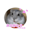 Ham ω Mediaのスタンプです -PART 1-（個別スタンプ：9）