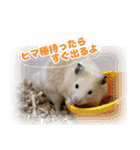 Ham ω Mediaのスタンプです -PART 1-（個別スタンプ：10）