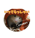 Ham ω Mediaのスタンプです -PART 1-（個別スタンプ：11）