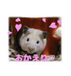 Ham ω Mediaのスタンプです -PART 1-（個別スタンプ：12）