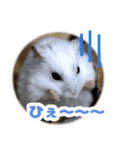 Ham ω Mediaのスタンプです -PART 1-（個別スタンプ：16）
