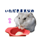 Ham ω Mediaのスタンプです -PART 1-（個別スタンプ：21）
