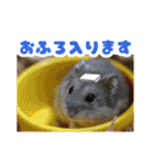 Ham ω Mediaのスタンプです -PART 1-（個別スタンプ：22）