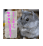 Ham ω Mediaのスタンプです -PART 1-（個別スタンプ：23）