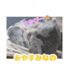 Ham ω Mediaのスタンプです -PART 1-（個別スタンプ：24）