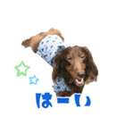 リクさんのご挨拶（個別スタンプ：2）