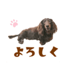 リクさんのご挨拶（個別スタンプ：3）