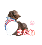 リクさんのご挨拶（個別スタンプ：4）