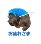 リクさんのご挨拶（個別スタンプ：5）