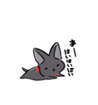 人間味溢れる黒猫すたんぷ（個別スタンプ：1）