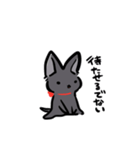 人間味溢れる黒猫すたんぷ（個別スタンプ：3）