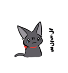 人間味溢れる黒猫すたんぷ（個別スタンプ：10）