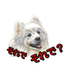 犬画スタンプ1（個別スタンプ：2）