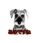 犬画スタンプ1（個別スタンプ：3）