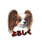 犬画スタンプ1（個別スタンプ：4）