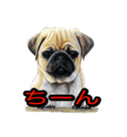 犬画スタンプ1（個別スタンプ：5）