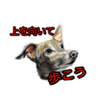 犬画スタンプ1（個別スタンプ：7）
