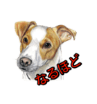 犬画スタンプ1（個別スタンプ：9）
