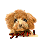 犬画スタンプ1（個別スタンプ：11）