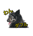 犬画スタンプ1（個別スタンプ：13）