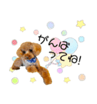 まる♡ナムルのスタンプ（個別スタンプ：2）