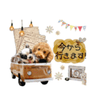 まる♡ナムルのスタンプ（個別スタンプ：13）