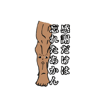 筋肉家族 vol.1（個別スタンプ：1）
