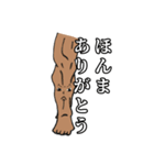 筋肉家族 vol.1（個別スタンプ：2）
