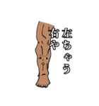 筋肉家族 vol.1（個別スタンプ：4）