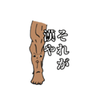 筋肉家族 vol.1（個別スタンプ：9）