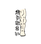 筋肉家族 vol.1（個別スタンプ：11）