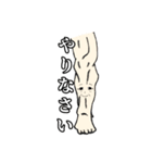 筋肉家族 vol.1（個別スタンプ：12）