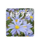 優しい花たちのあいさつ（個別スタンプ：4）