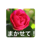 優しい花たちのあいさつ（個別スタンプ：17）