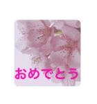 優しい花たちのあいさつ（個別スタンプ：18）