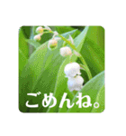 優しい花たちのあいさつ（個別スタンプ：20）