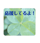 優しい花たちのあいさつ（個別スタンプ：22）