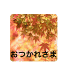 優しい花たちのあいさつ（個別スタンプ：23）