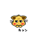 元気ねこ（個別スタンプ：37）