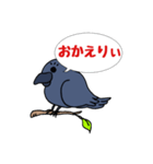 カラスが常に様子を気にしてるょ（個別スタンプ：1）