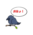 カラスが常に様子を気にしてるょ（個別スタンプ：2）
