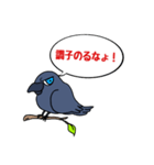 カラスが常に様子を気にしてるょ（個別スタンプ：3）