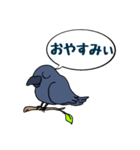 カラスが常に様子を気にしてるょ（個別スタンプ：8）