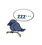 カラスが常に様子を気にしてるょ（個別スタンプ：9）