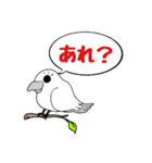 カラスが常に様子を気にしてるょ（個別スタンプ：10）